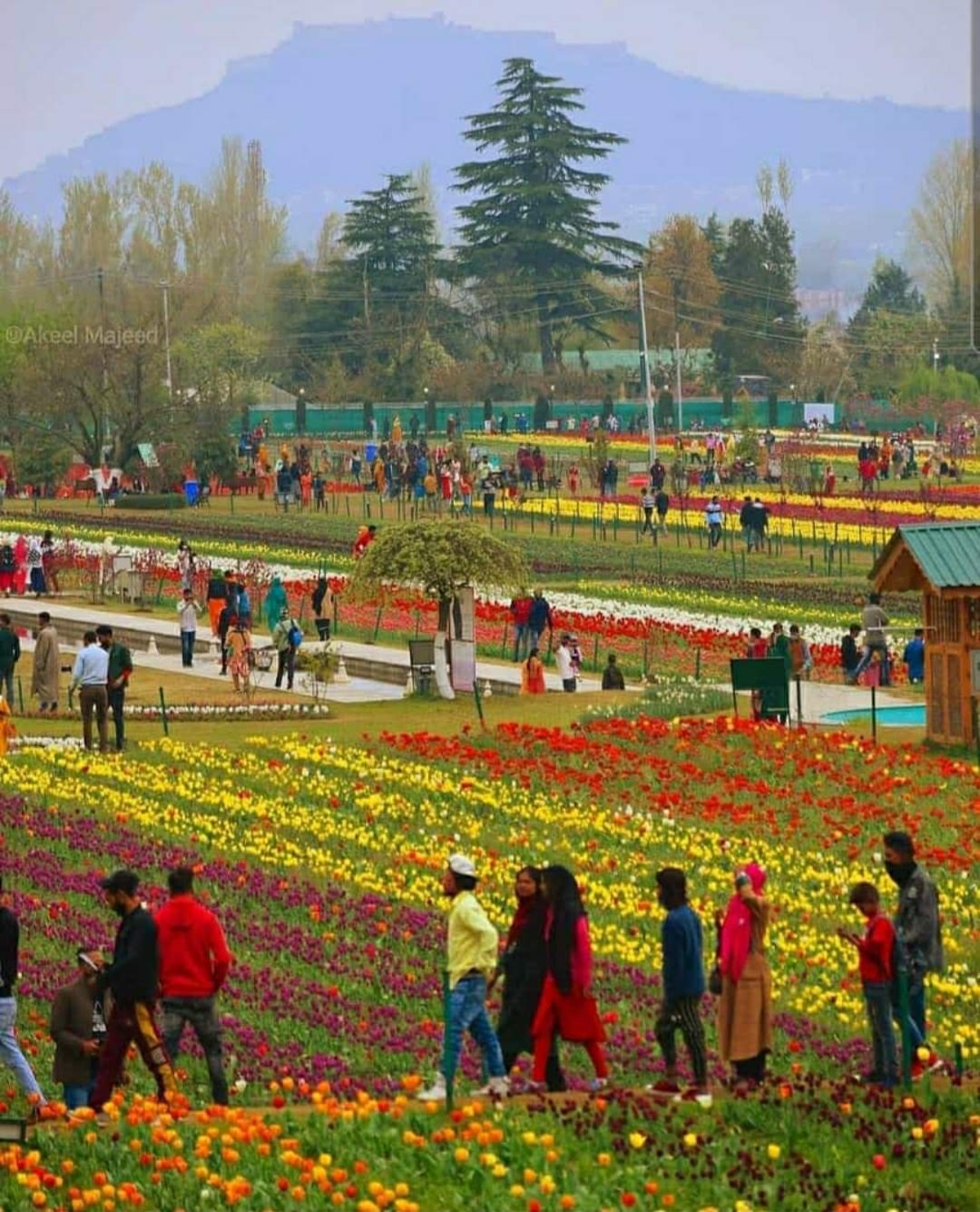 Kashmir Budget Friendly Tour