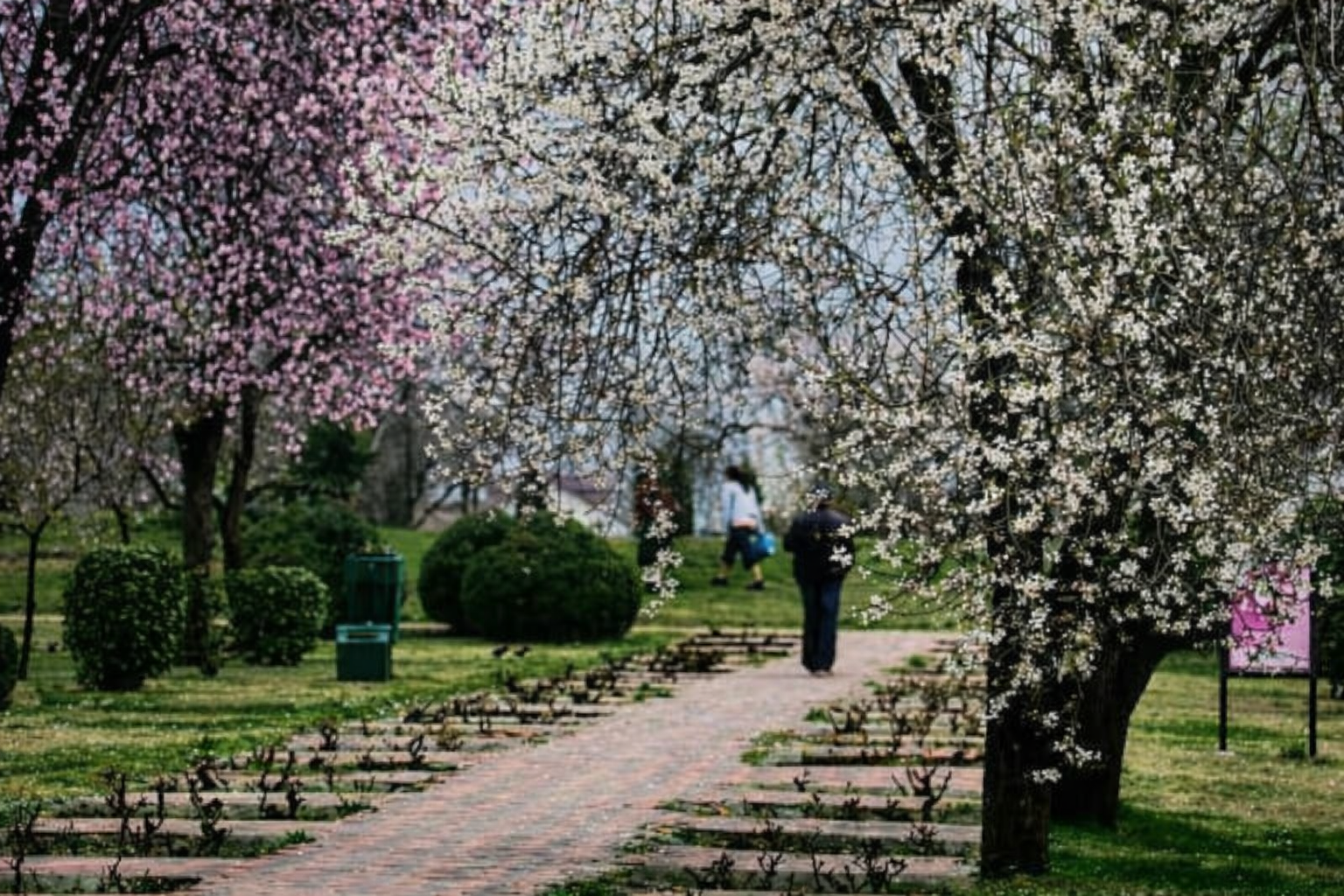 Spring Honeymoon Special