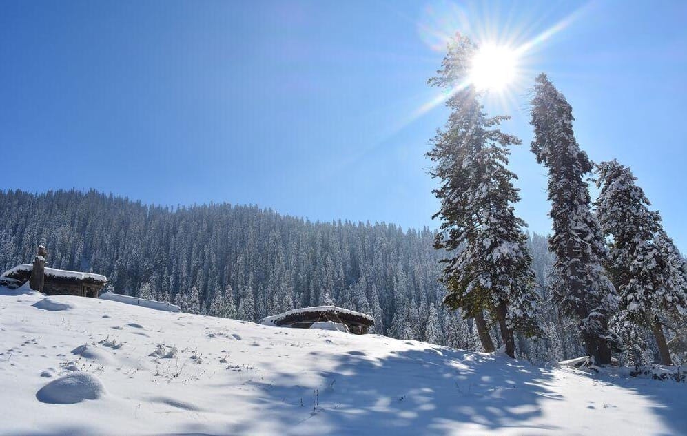 Royal Kashmir Packages