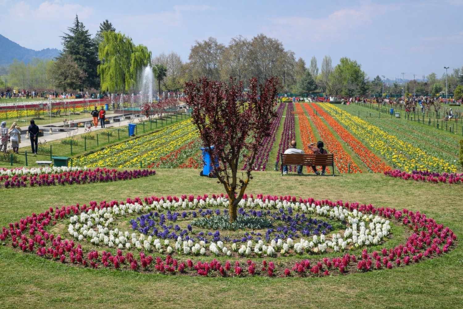 Kashmir Tour Packages by Trek Valley Travels