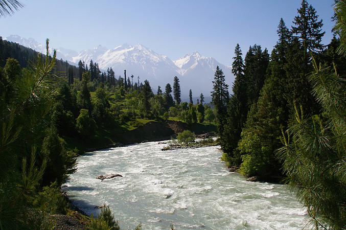 Day 3: Sonamarg to Nichinai (3300m )