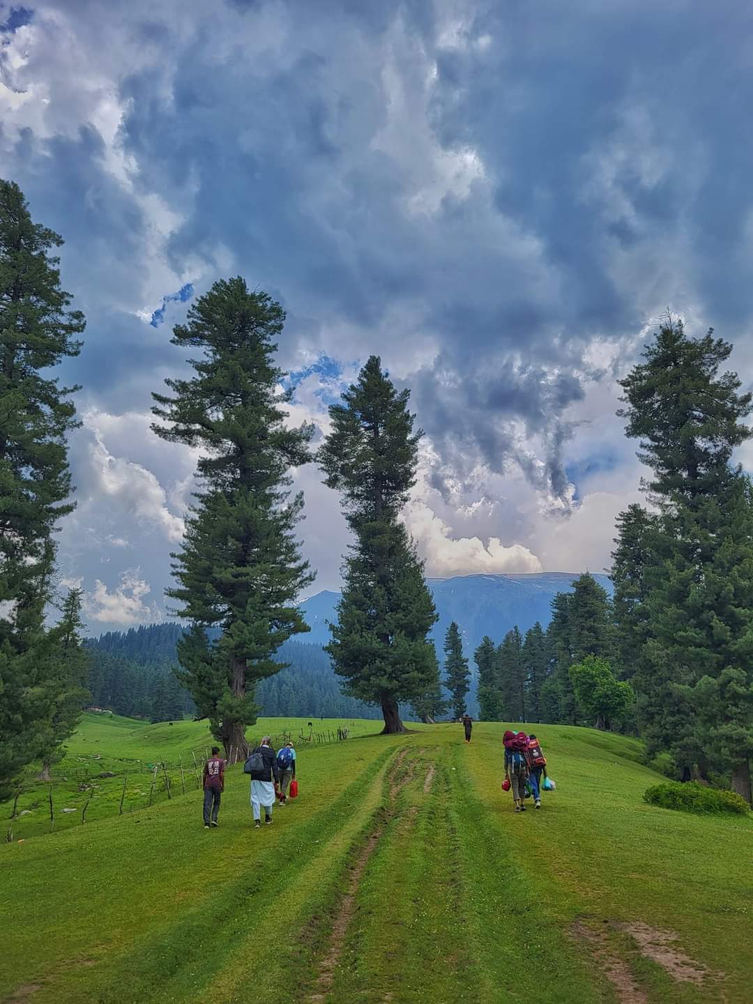 <span> Day 2:</span> Pahalgam Sightseeing Day