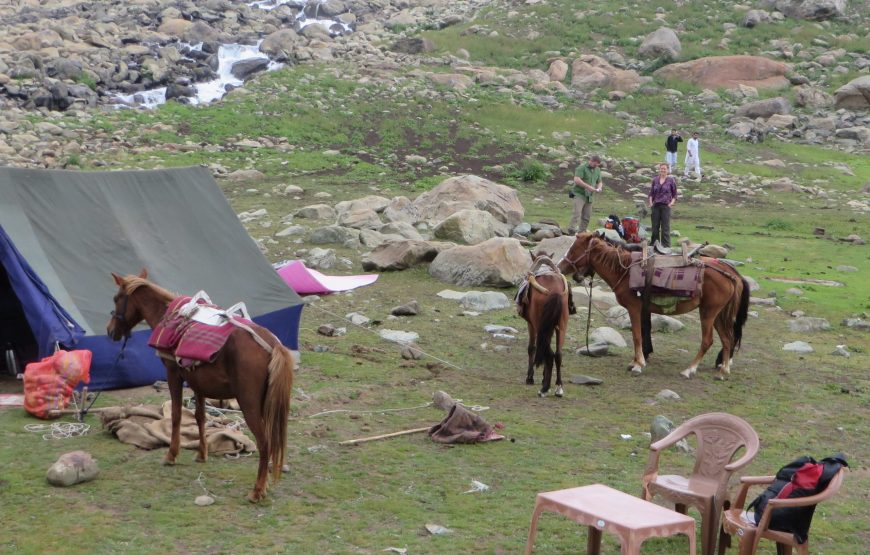 Gangabal Trek (Hermukh):- 5 Nights 6 Days