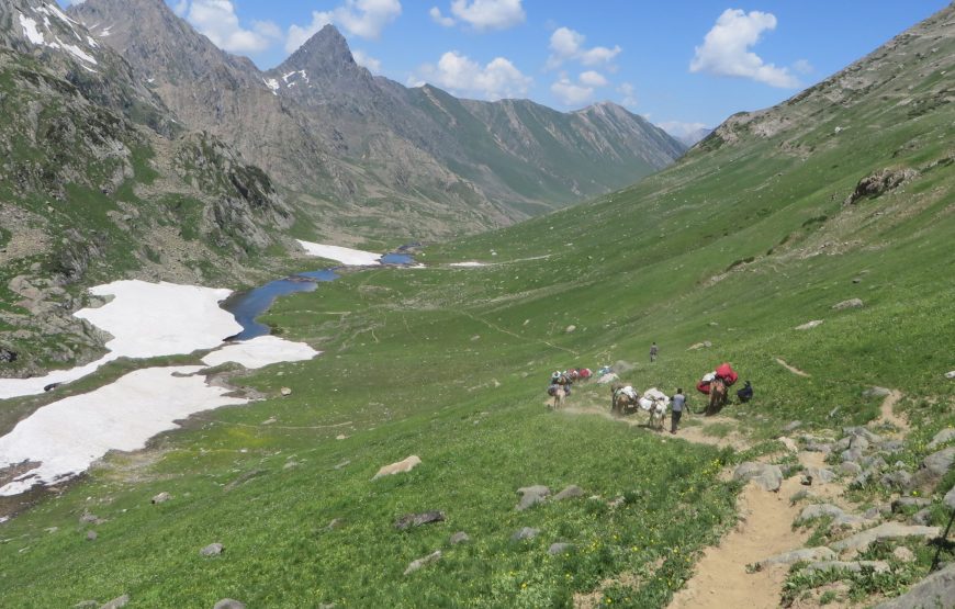 Gangabal Trek (Hermukh):- 5 Nights 6 Days