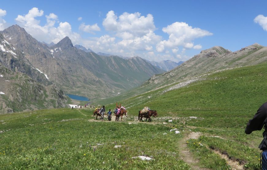 Sonamarg – Bandipora Trek (11 Nights 12 Days)