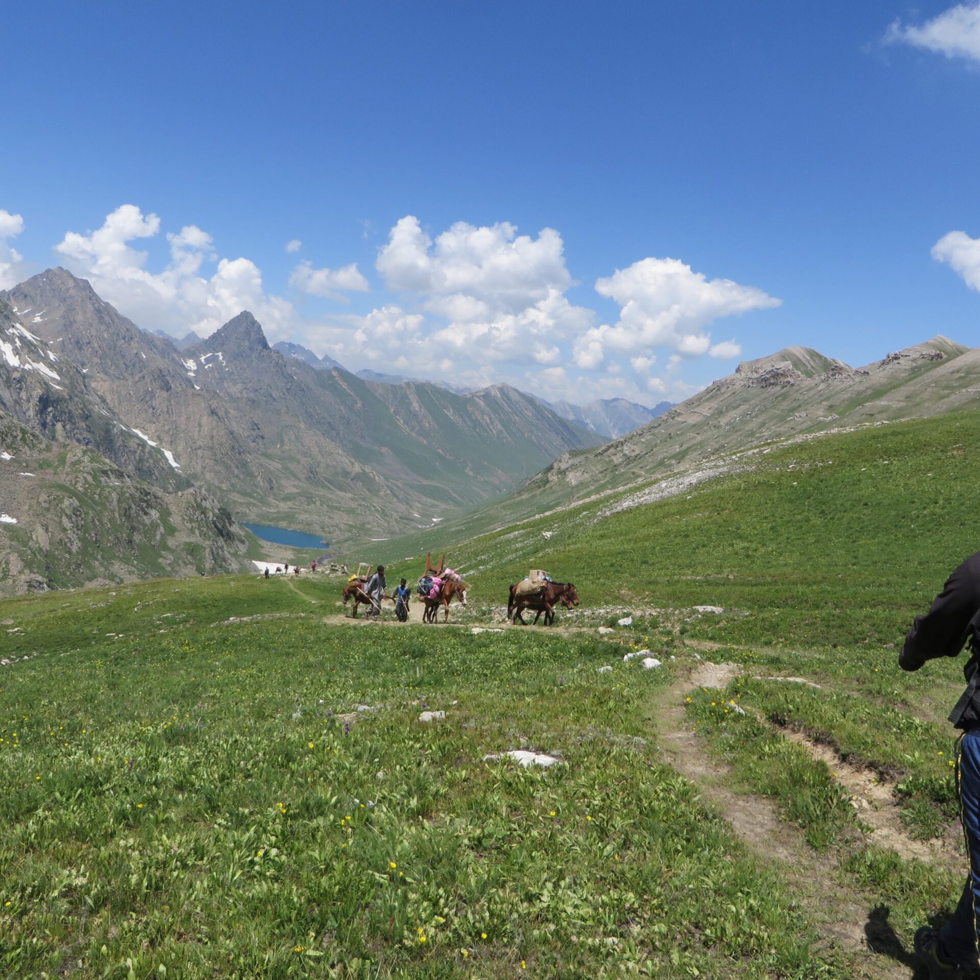 Day 5: Gangabal – Naranag – Srinagar