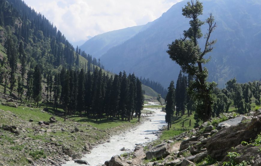 Pahalgam – Tarsar / Marsar Trek (10 Nights 11 Days)