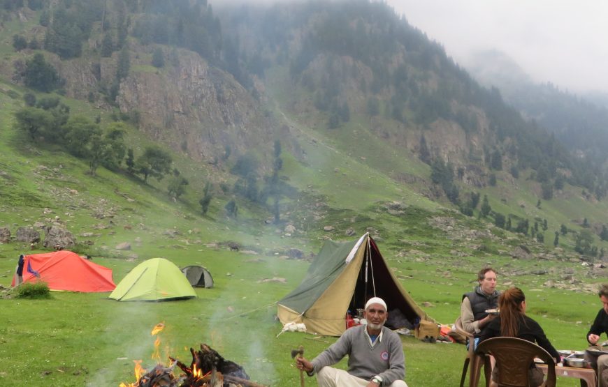 Sonamarg – Bandipora Trek (11 Nights 12 Days)