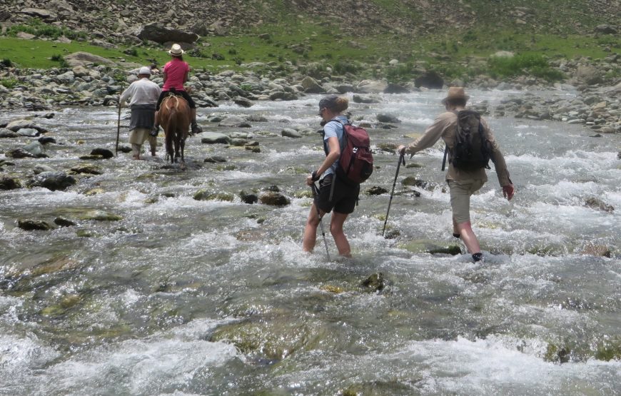 Sonamarg – Bandipora Trek (11 Nights 12 Days)