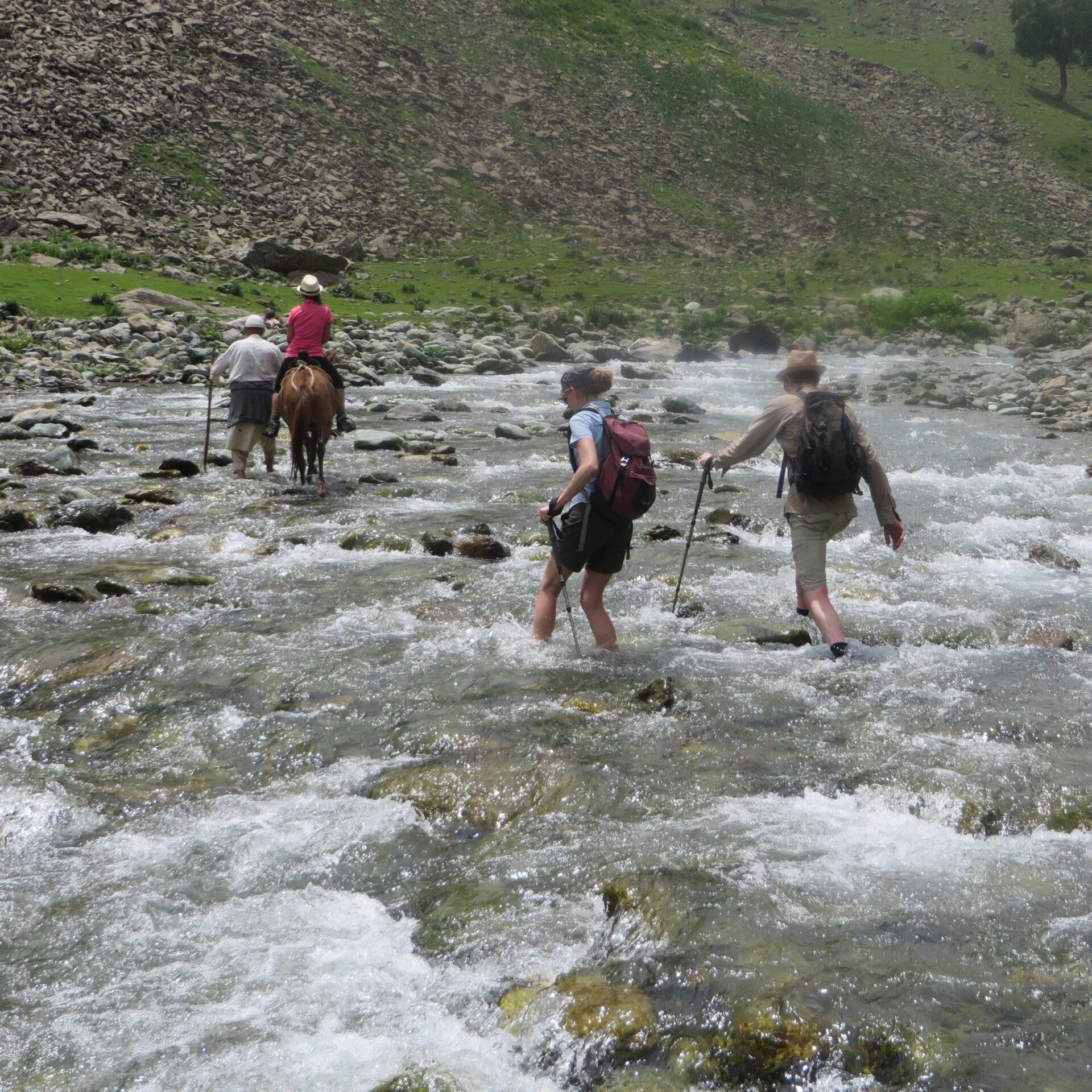 Day 6: Satlanjan to Kolahoi base camp (4140m) and return to Lidderwat (3050m)