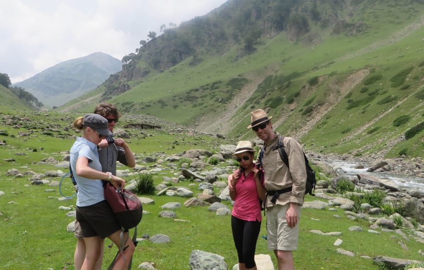 Kolhai Base Camp Trek (6 Nights 7 Days)