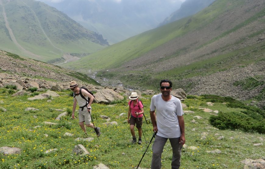 Kolhai Base Camp Trek (6 Nights 7 Days)