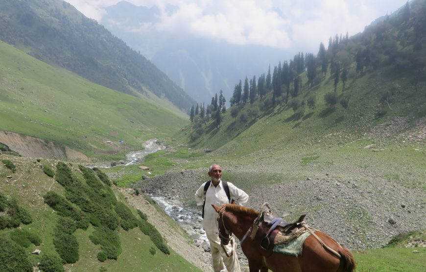Pahalgam – Tarsar / Marsar Trek (10 Nights 11 Days)