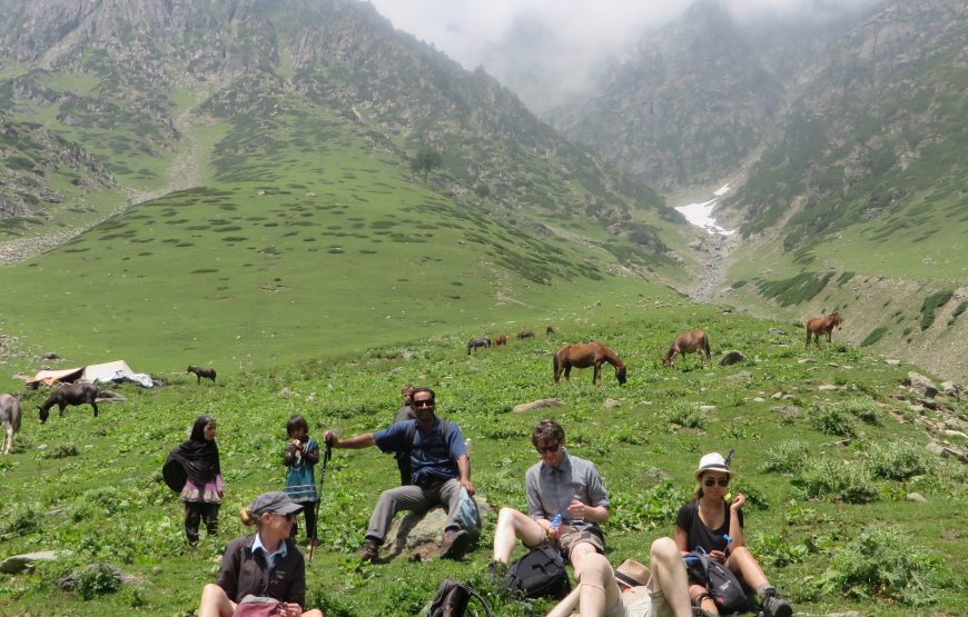 Pahalgam – Tarsar / Marsar Trek (10 Nights 11 Days)