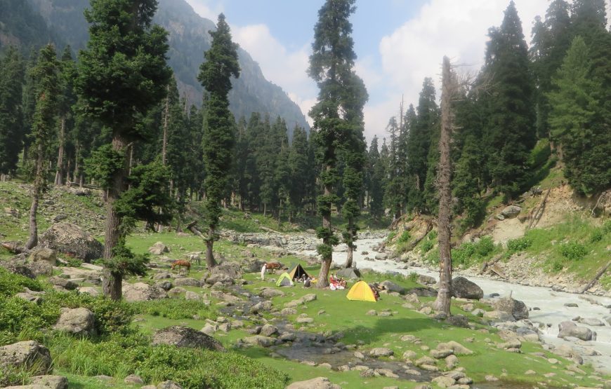 Kolhai Base Camp Trek (6 Nights 7 Days)
