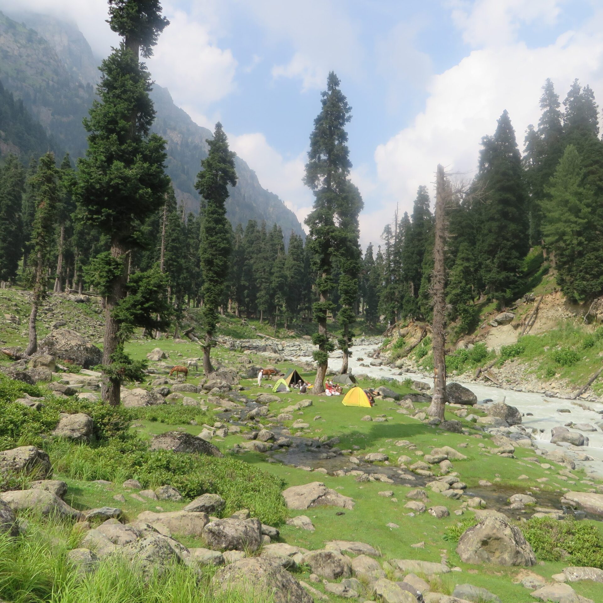 Day 9: Gangabal to Naranag & Srinagar Back