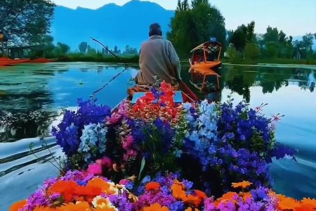 Heavenly Kashmir Escape (6N7D)