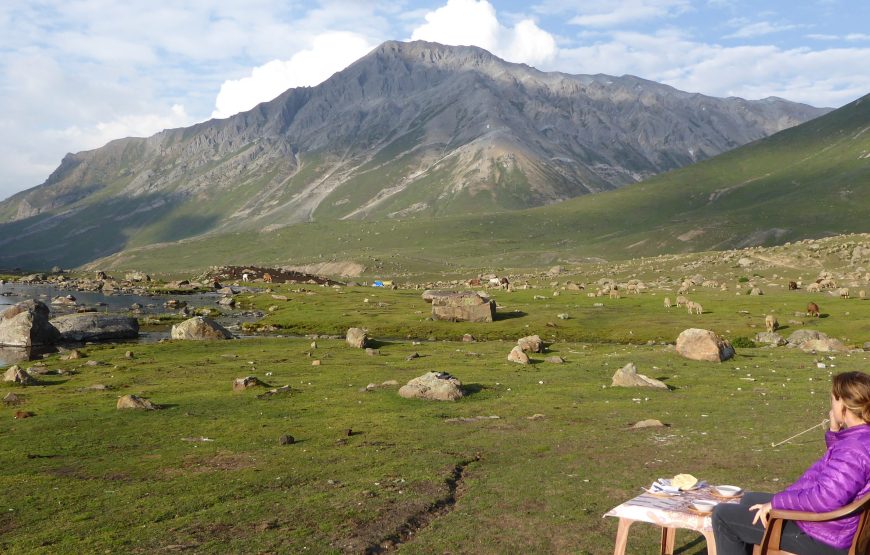 Pahalgam – Tarsar / Marsar Trek (10 Nights 11 Days)