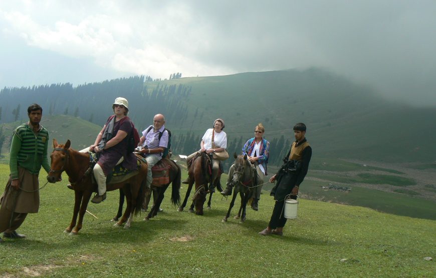 Sonamarg – Bandipora Trek (11 Nights 12 Days)