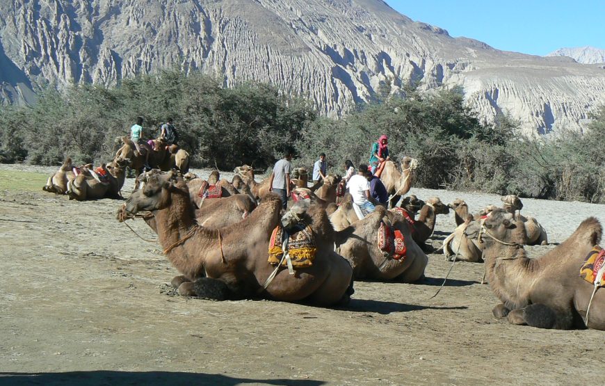 Lamayuru to Chilling Trek (6 Nights 7 Days)