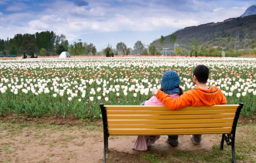 Romantic Kashmir Gateway (6 Nights 7 Days)