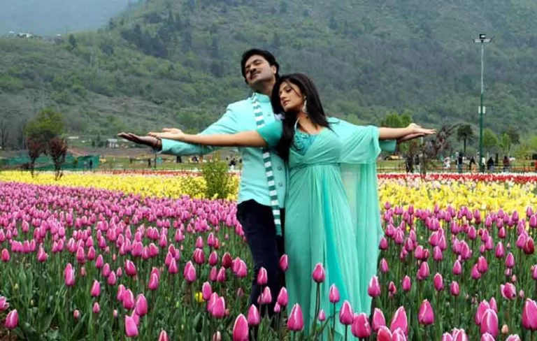 kashmir-honeymoon-768x488