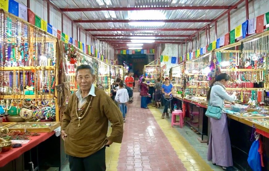 Eternal Ladakh Adventure (11 Nights 12 Days)