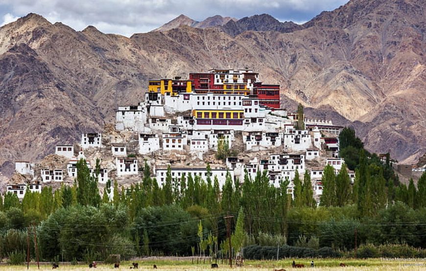 Mystical Mountain Escape (6 Nights 7 Days)