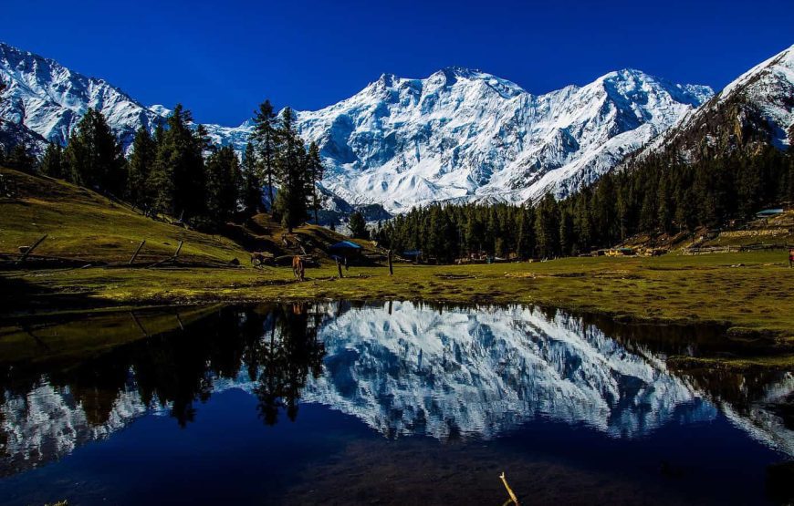 Enchanting Kashmir Odyssey (8 Nights / 9 Days)