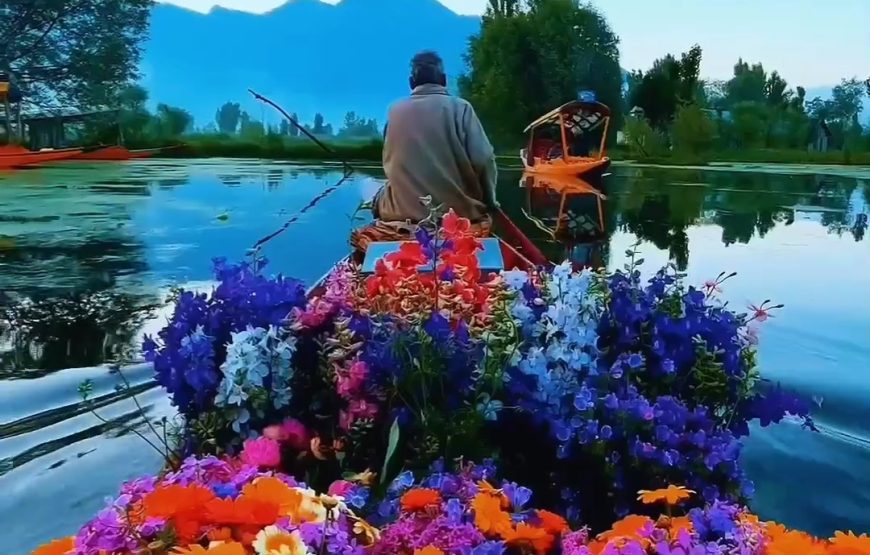 Enchanting Kashmir Odyssey (8 Nights / 9 Days)