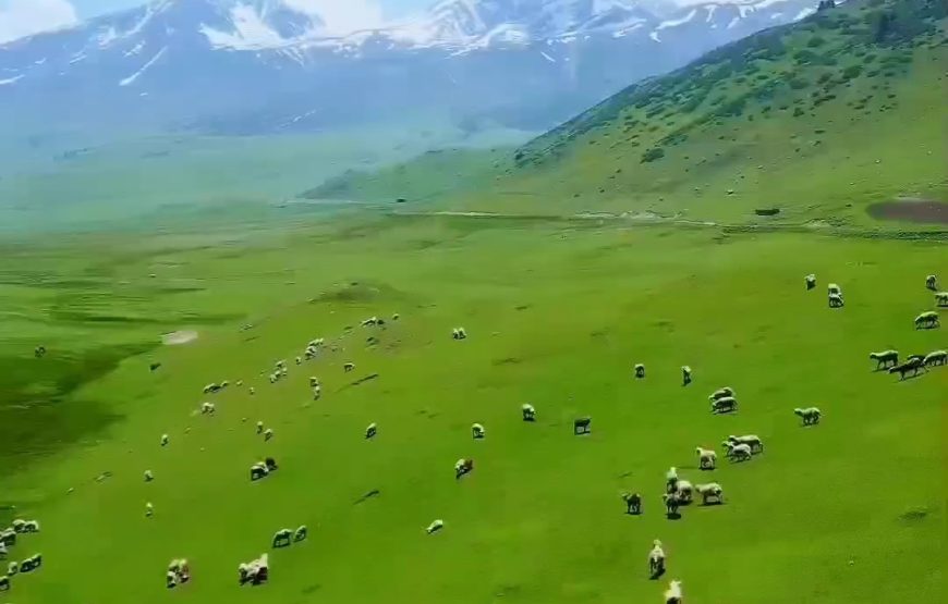 Enchanting Kashmir Odyssey (8 Nights / 9 Days)