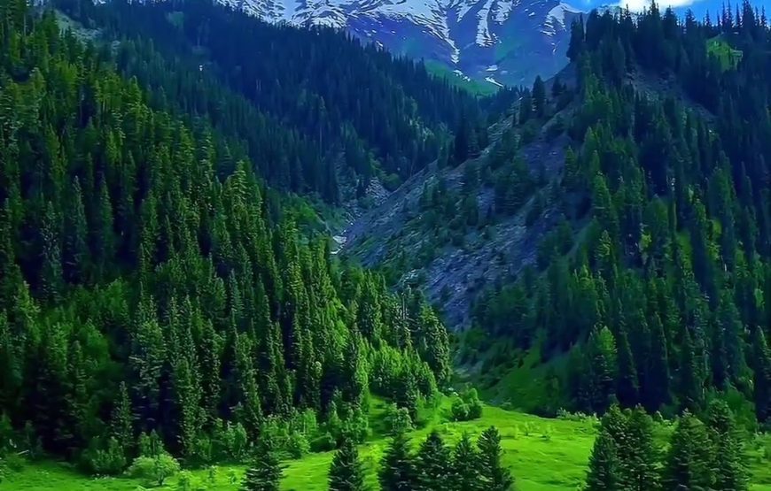 Enchanting Kashmir Odyssey (8 Nights / 9 Days)